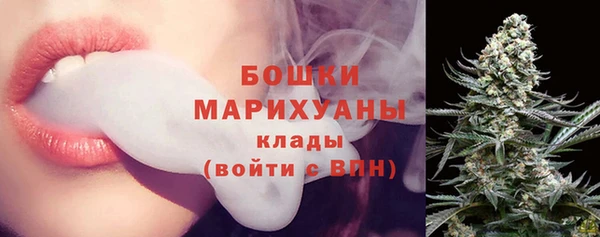 Альфа ПВП Верея