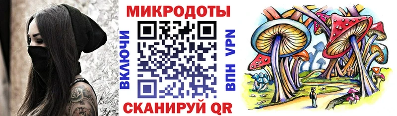 Галлюциногенные грибы Magic Shrooms где найти наркотики Армавир